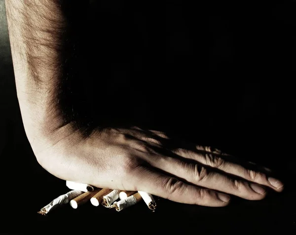 Palm on cigarettes — Stock Photo, Image