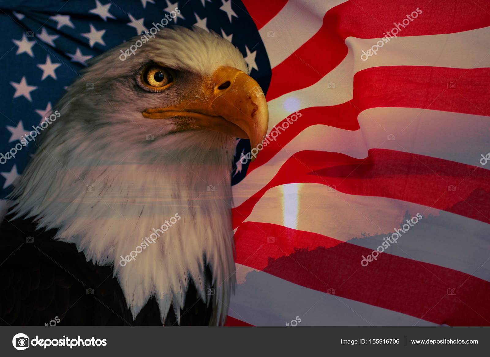 American flag with american eagle and sunlight — Stock Photo © Denisapro  #155916706, image size:1600x1167