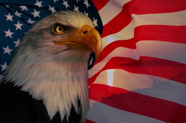 Amerikan kartalı ve güneş ışığı ile Amerikan bayrağı