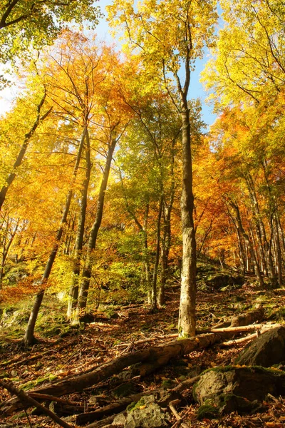 Herbstlandschaft mit Felsen — Stockfoto