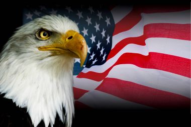Amerikan sembolü - ABD bayrağı ile siyah arka plan ile kartal.