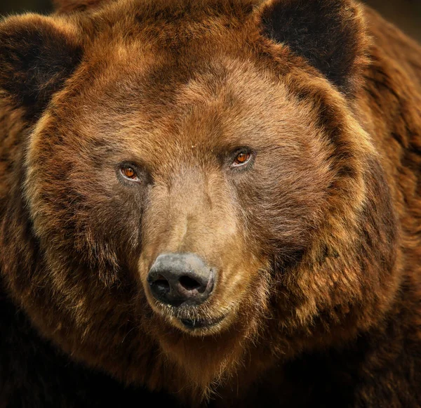 Turuncu ve gri renkli doku