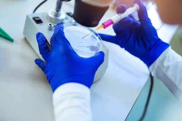 Woman scienist in laboratory using petri dish and microscope — Stock Photo, Image