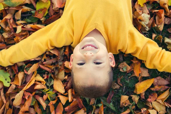 Portret szczęśliwy cute chłopiec z jesieni pozostawia tła. Zabawne dziecko trochę zabawy w Upadek Las lub park — Zdjęcie stockowe