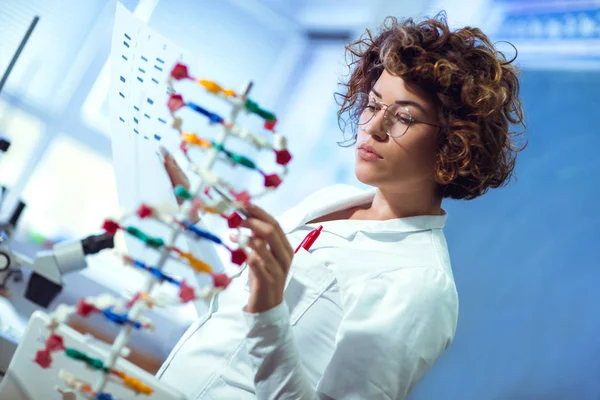 Scientist looking at DNA — Stock Photo, Image