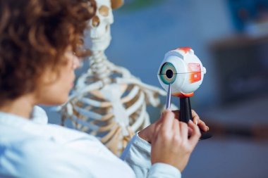 kadın öğretim anatomisi