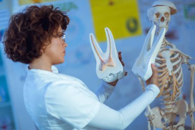 kadın öğretim anatomisi