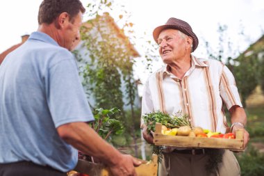 bahçesinde hasat sebzeler ile mutlu Büyükler düzeyinde men