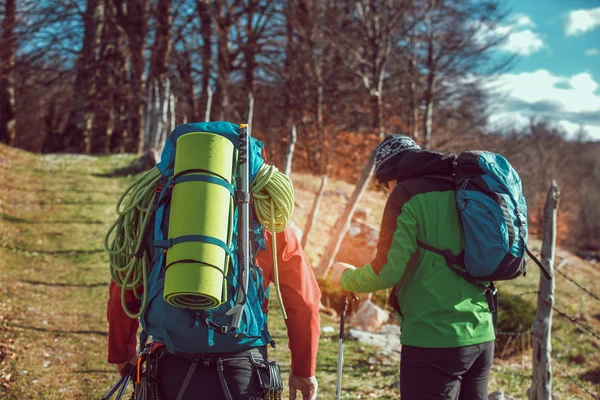 Two men hiking. They go to camp through the spring forest