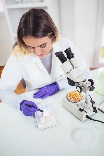Científica Buscando Maíz Para Investigación Modificación Genética Laboratorio — Foto de Stock