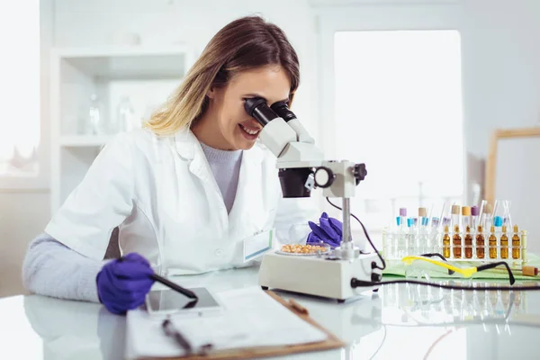 Женщина Ученый Ищет Кукурузу Исследований Генетической Модификации Лаборатории — стоковое фото