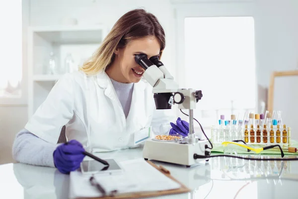 Científica Buscando Maíz Para Investigación Modificación Genética Laboratorio — Foto de Stock