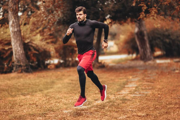 Hombre joven corriendo en el parque durante la mañana de otoño — Foto de Stock