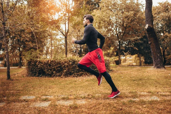 Jovem correndo no parque durante a manhã de outono — Fotografia de Stock