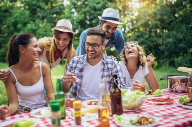 Doğada birlikte öğle yemeği keyfi arkadaşlar grubu.