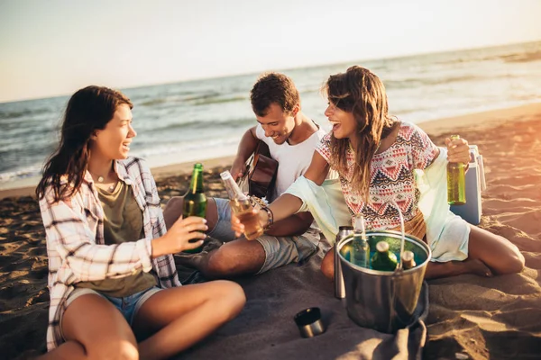 Prietenii se distrează pe plajă într-o zi însorită . — Fotografie, imagine de stoc