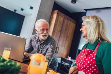 Happy retired couple browsing the internet together on a laptop 