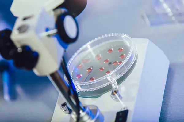 Petrischale Mit Blutprobe Unter Dem Licht Des Labormikroskops Medizinisches Laborkonzept — Stockfoto