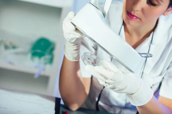 Βοηθός Τεχνικού Εργαστηρίου Αναλύοντας Δείγμα Αίματος Στο Εργαστήριο Ιατρική Φαρμακευτική — Φωτογραφία Αρχείου