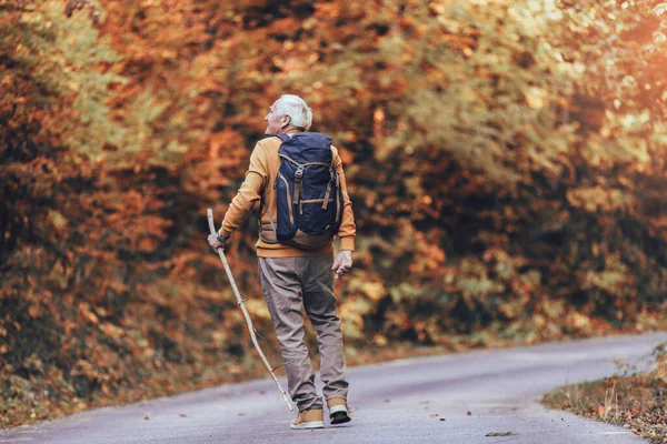 Randonneur Senior Marchant Avec Sac Dos Dans Bois — Photo