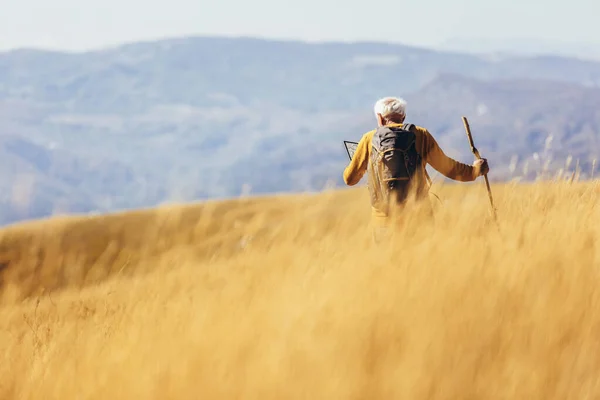 Senior Man Wandeling Door Prachtig Landschap Herfst — Stockfoto