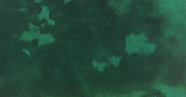 Вода бирюзового океана — стоковое видео