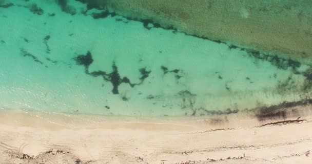 Багамские райские острова — стоковое видео