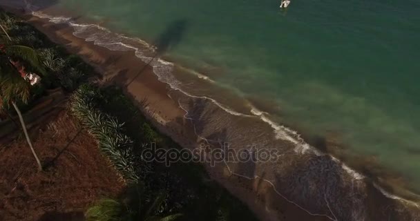 Stranden i Maceio, Alagoas — Stockvideo