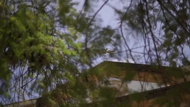 Église Nossa Senhora dos Remedios 