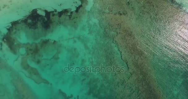 Bahamas resorts de lujo — Vídeo de stock