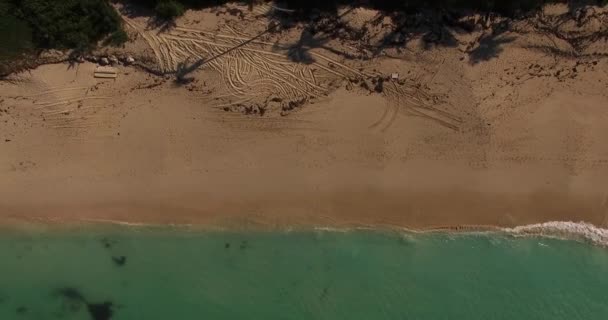Багамские райские острова — стоковое видео