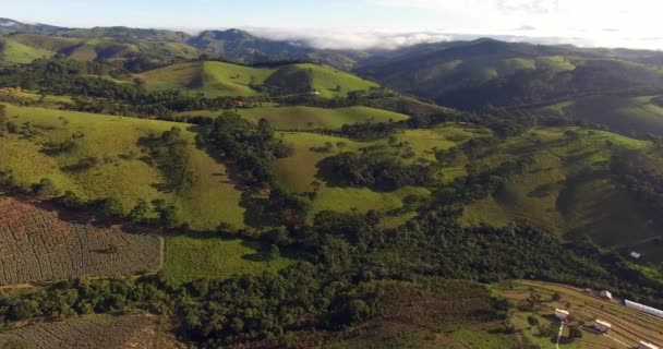 Voando sobre as belas montanhas e florestas — Vídeo de Stock