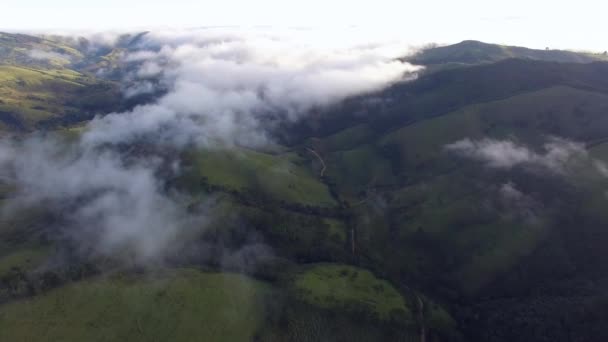 美丽的山脉和森林的飞越 免版税图库视频