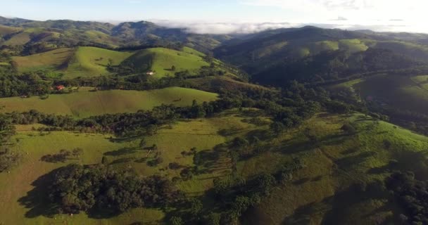 Voando sobre as belas montanhas e florestas — Vídeo de Stock