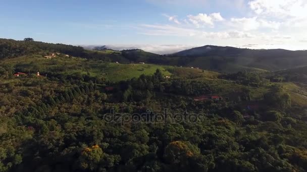 Sorvolando le splendide montagne e la foresta — Video Stock