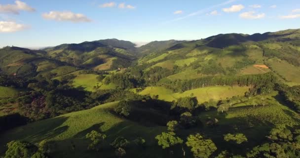 Sorvolando le splendide montagne e la foresta — Video Stock