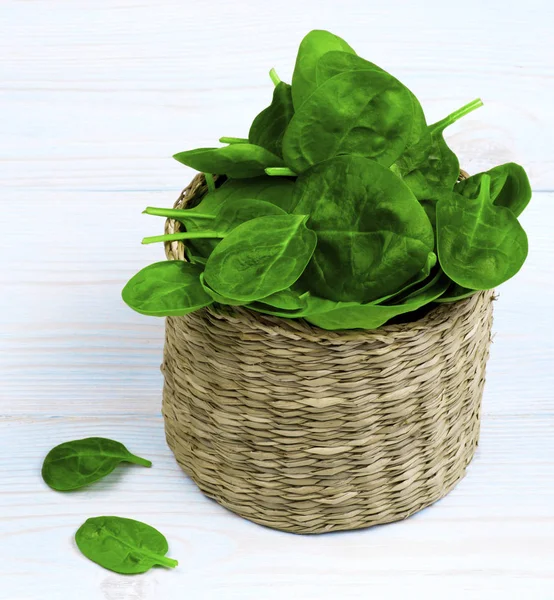 Raw Spinach Leafs — Stock Photo, Image