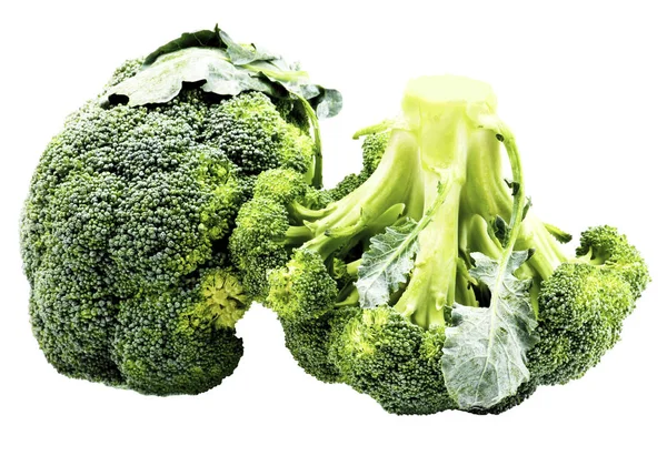 Två rå Broccoli — Stockfoto