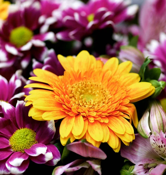 화려한 여름 꽃다발 — 스톡 사진