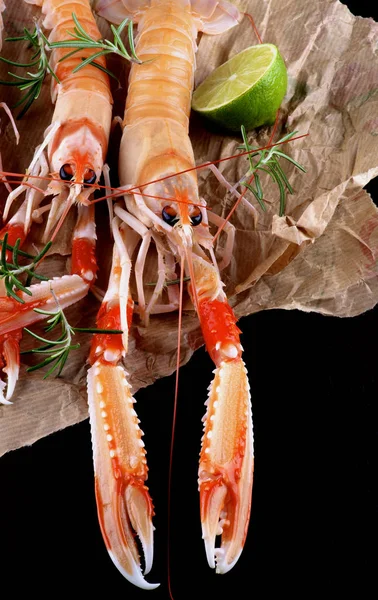 Délicieuses Langoustines crues — Photo