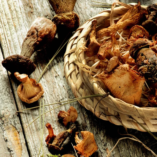 Arrangement of Dried Mushrooms — Stock Photo, Image