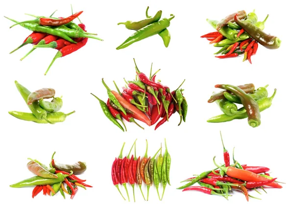 Kolekce chilli papričky — Stock fotografie
