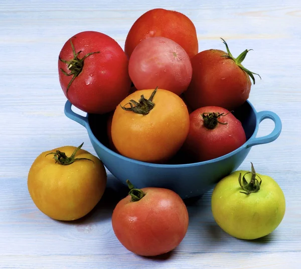 Colorful Fresh Tomatoes — Stock Photo, Image