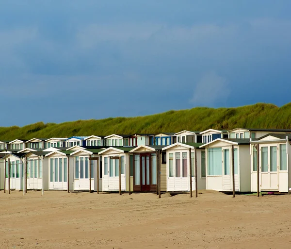 Beach houses Zandvoort (Holland) — Stock Photo © FotoVDW 11682290
