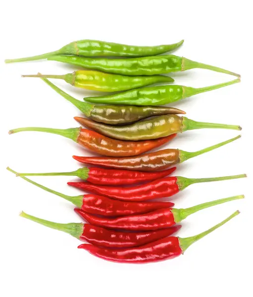 Arrangement of Chili Peppers — Stock Photo, Image