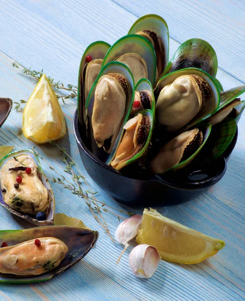 Mejillones verdes cocidos — Foto de Stock