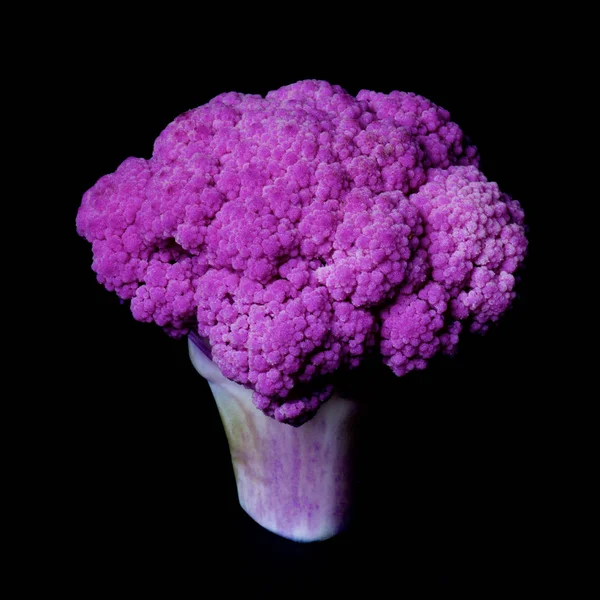 Fresh Purple Cauliflower — Stock Photo, Image