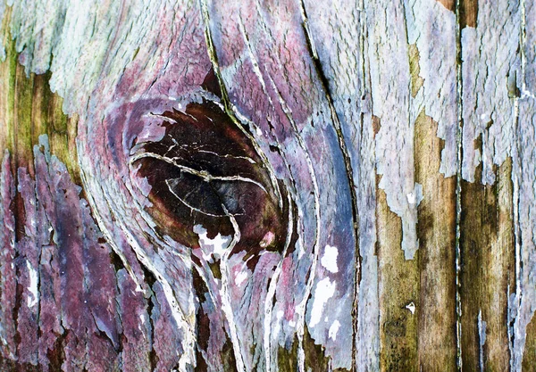 갈라진된 나무 배경 — 스톡 사진