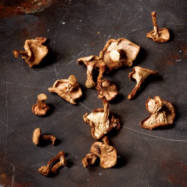 Chanterelles mantar kurutulmuş