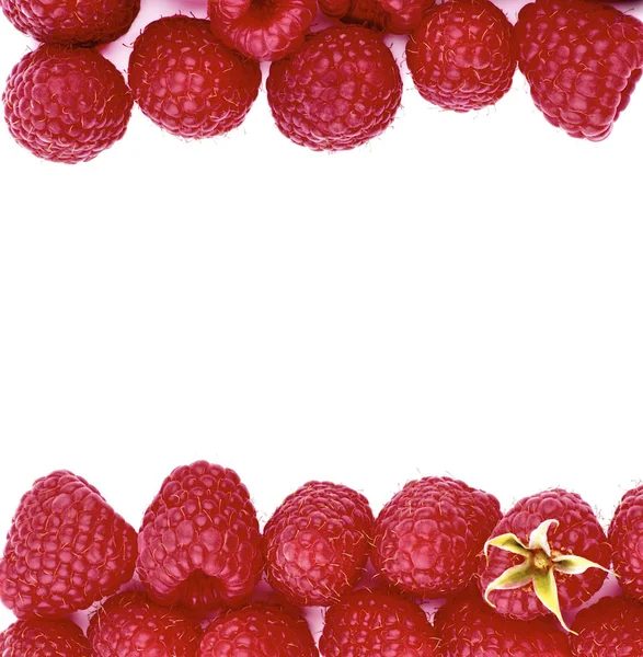 Double Border of Raspberries — Stock Photo, Image